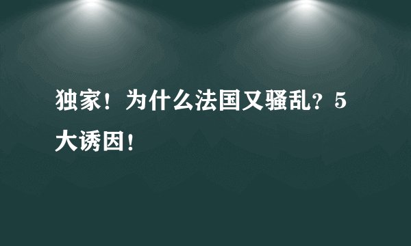 独家！为什么法国又骚乱？5大诱因！