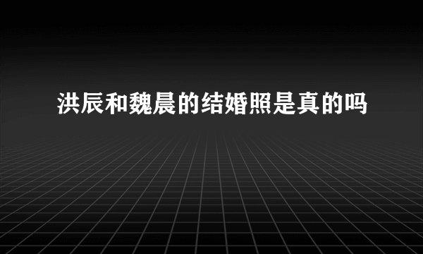 洪辰和魏晨的结婚照是真的吗