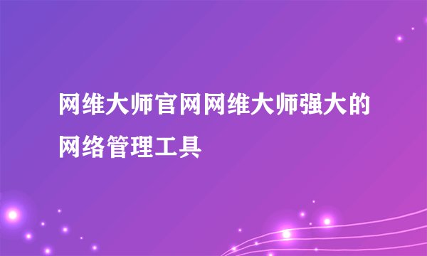 网维大师官网网维大师强大的网络管理工具