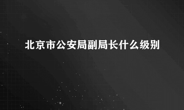 北京市公安局副局长什么级别