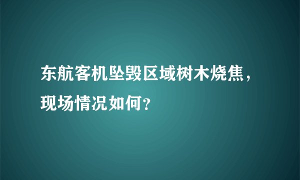 东航客机坠毁区域树木烧焦，现场情况如何？