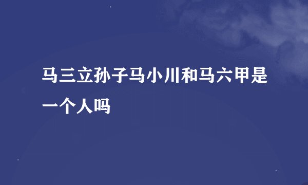 马三立孙子马小川和马六甲是一个人吗