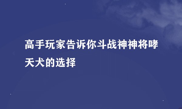 高手玩家告诉你斗战神神将哮天犬的选择