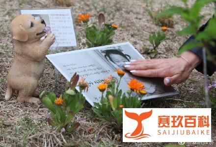 郑仁养母张某被判无期徒刑