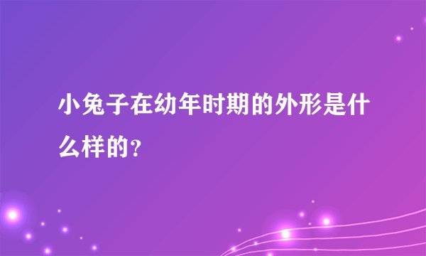 小兔子在幼年时期的外形是什么样的？