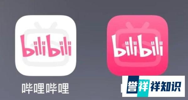 哔哩哔哩国际版下架后，海外用户怎么用b站？