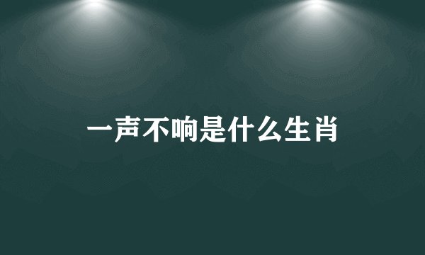 一声不响是什么生肖