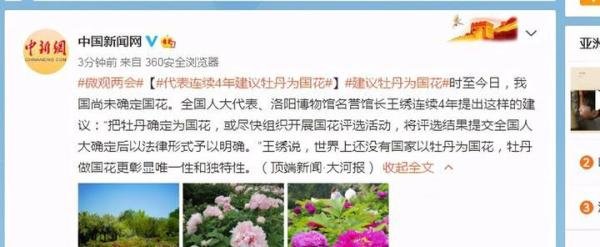 代表连续4年建议牡丹为国花 这是咋情况？