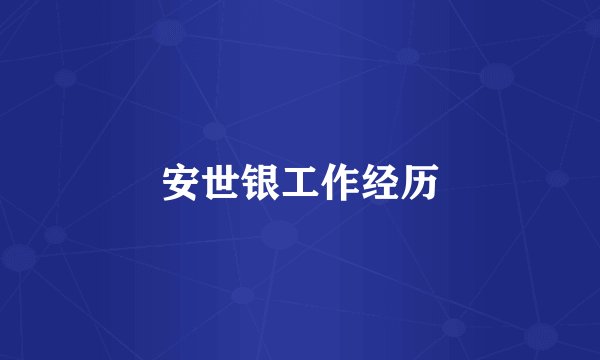 安世银工作经历