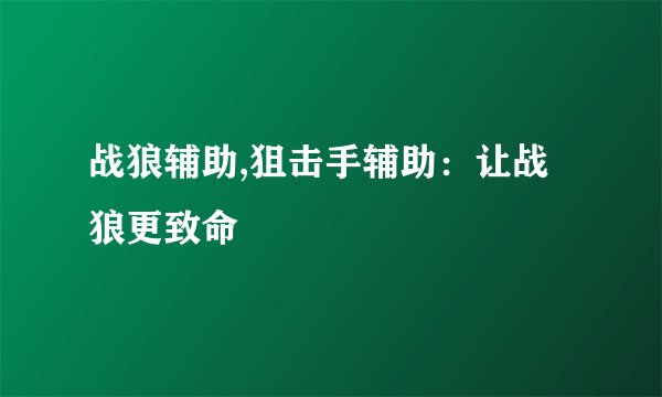 战狼辅助,狙击手辅助：让战狼更致命