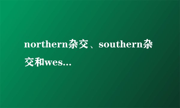 northern杂交、southern杂交和western杂交有什么区别