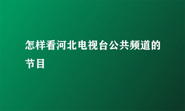 怎样看河北电视台公共频道的节目