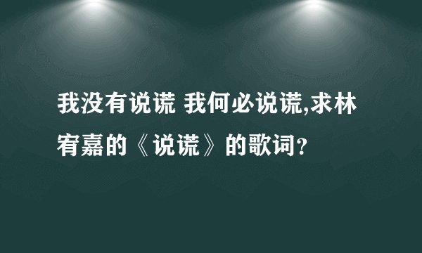 我没有说谎 我何必说谎,求林宥嘉的《说谎》的歌词？