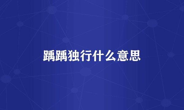 踽踽独行什么意思