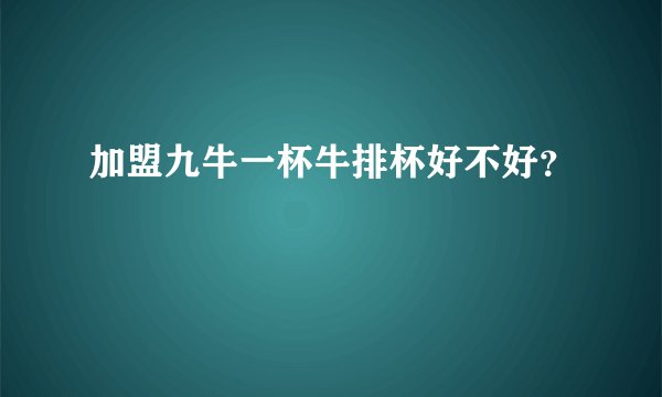加盟九牛一杯牛排杯好不好？