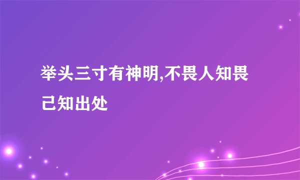 举头三寸有神明,不畏人知畏己知出处
