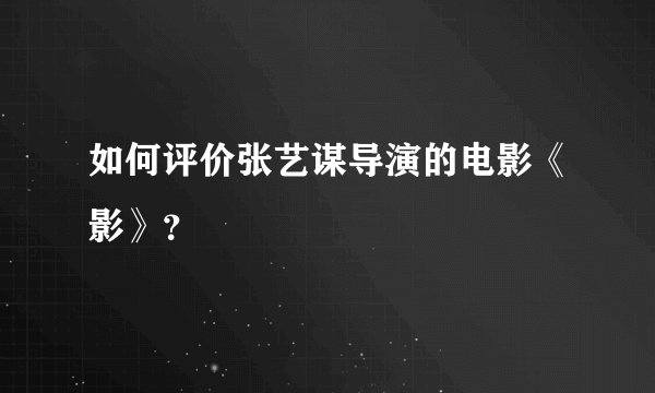 如何评价张艺谋导演的电影《影》？
