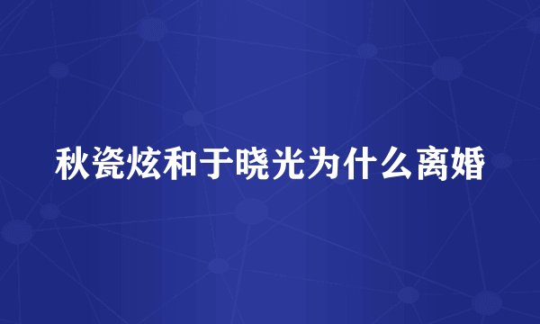秋瓷炫和于晓光为什么离婚
