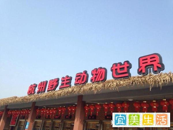 杭州豹子出逃事件整理，到底是谁把人民当傻子耍？