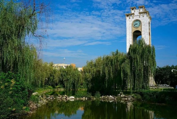 西南财经大学2023录取分数线？