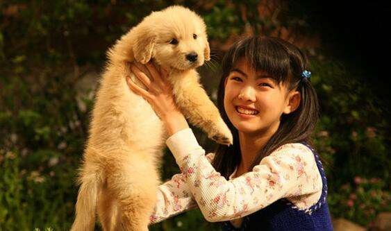 推荐几部类似《忠犬八公的故事》的电影