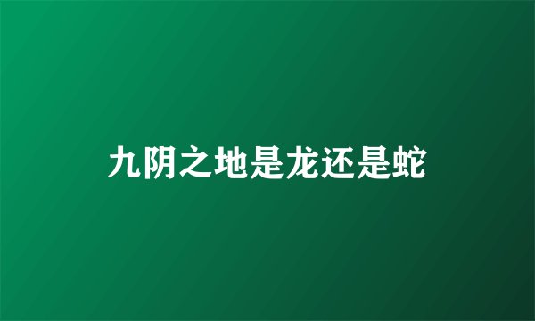 九阴之地是龙还是蛇