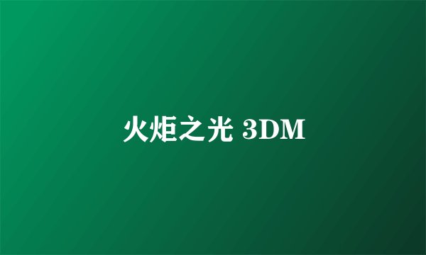 火炬之光 3DM