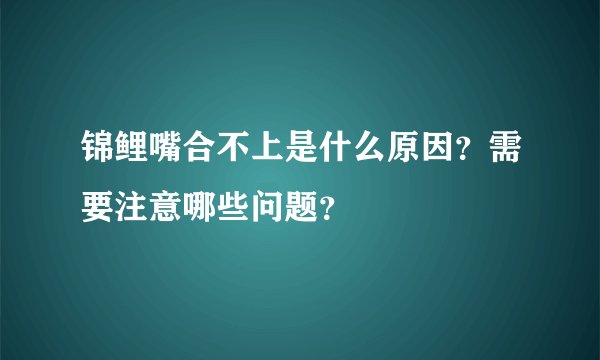 锦鲤嘴合不上是什么原因？需要注意哪些问题？