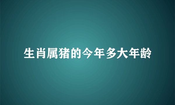 生肖属猪的今年多大年龄