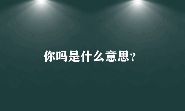 你吗是什么意思？