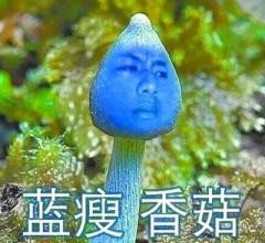 蓝瘦香菇哥怎么红的?