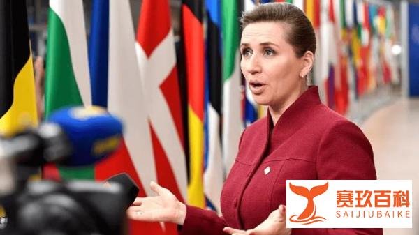 丹麦首相梅特弗雷德里克森遭到袭击一名男子在街上殴打她