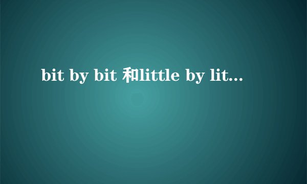 bit by bit 和little by little有什么区别