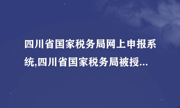 四川省国家税务局网上申报系统,四川省国家税务局被授权的网上税务申报系统