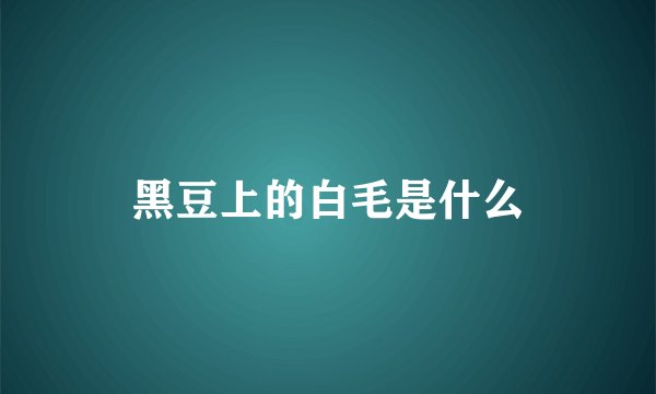 黑豆上的白毛是什么