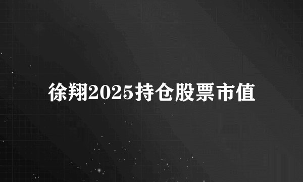徐翔2025持仓股票市值