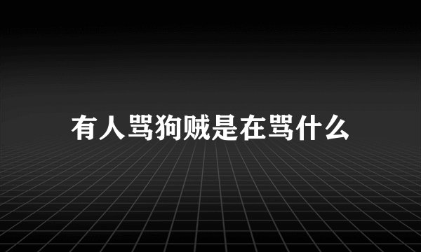 有人骂狗贼是在骂什么