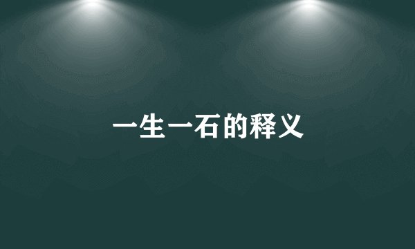 一生一石的释义