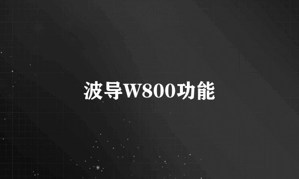 波导W800功能