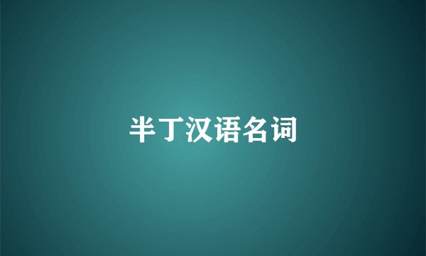 半丁汉语名词