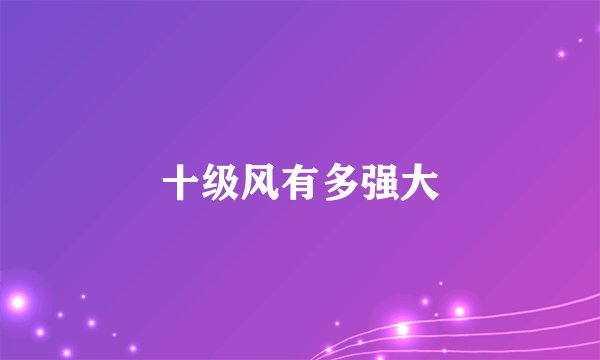 十级风有多强大