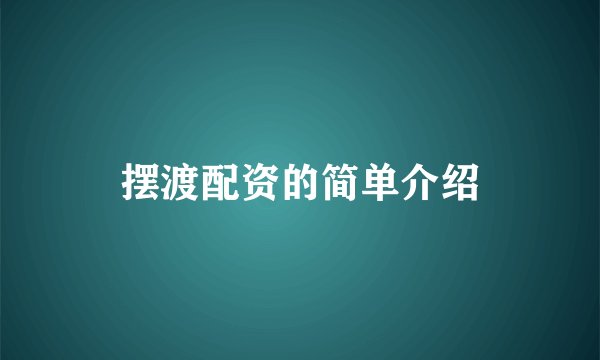 摆渡配资的简单介绍
