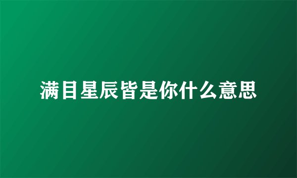 满目星辰皆是你什么意思