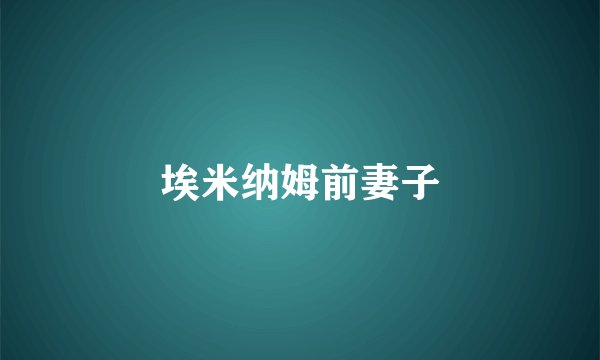 埃米纳姆前妻子