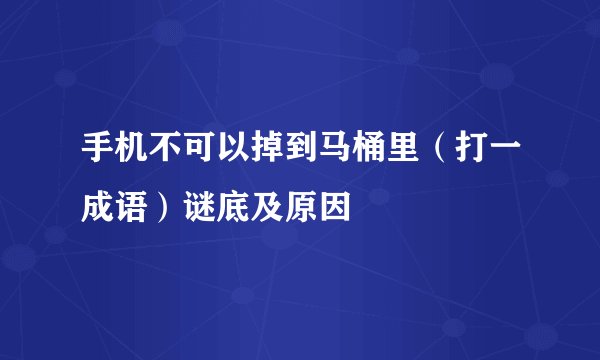 手机不可以掉到马桶里（打一成语）谜底及原因