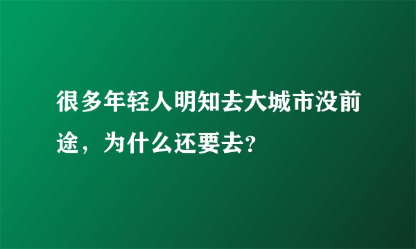 很多年轻人明知去大城市没前途，为什么还要去？