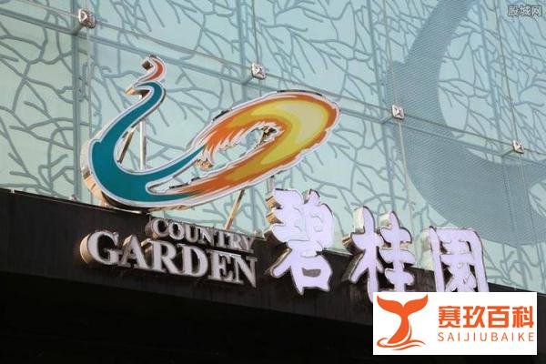 碧桂园创始人杨国强公开露面！出售私人飞机偿债