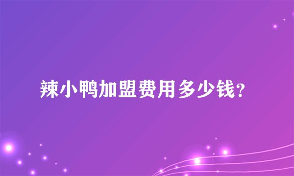 辣小鸭加盟费用多少钱？