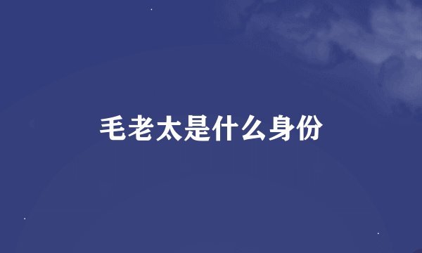 毛老太是什么身份
