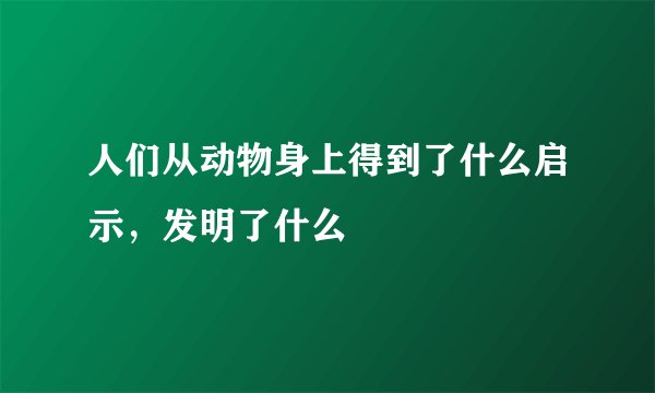 人们从动物身上得到了什么启示，发明了什么